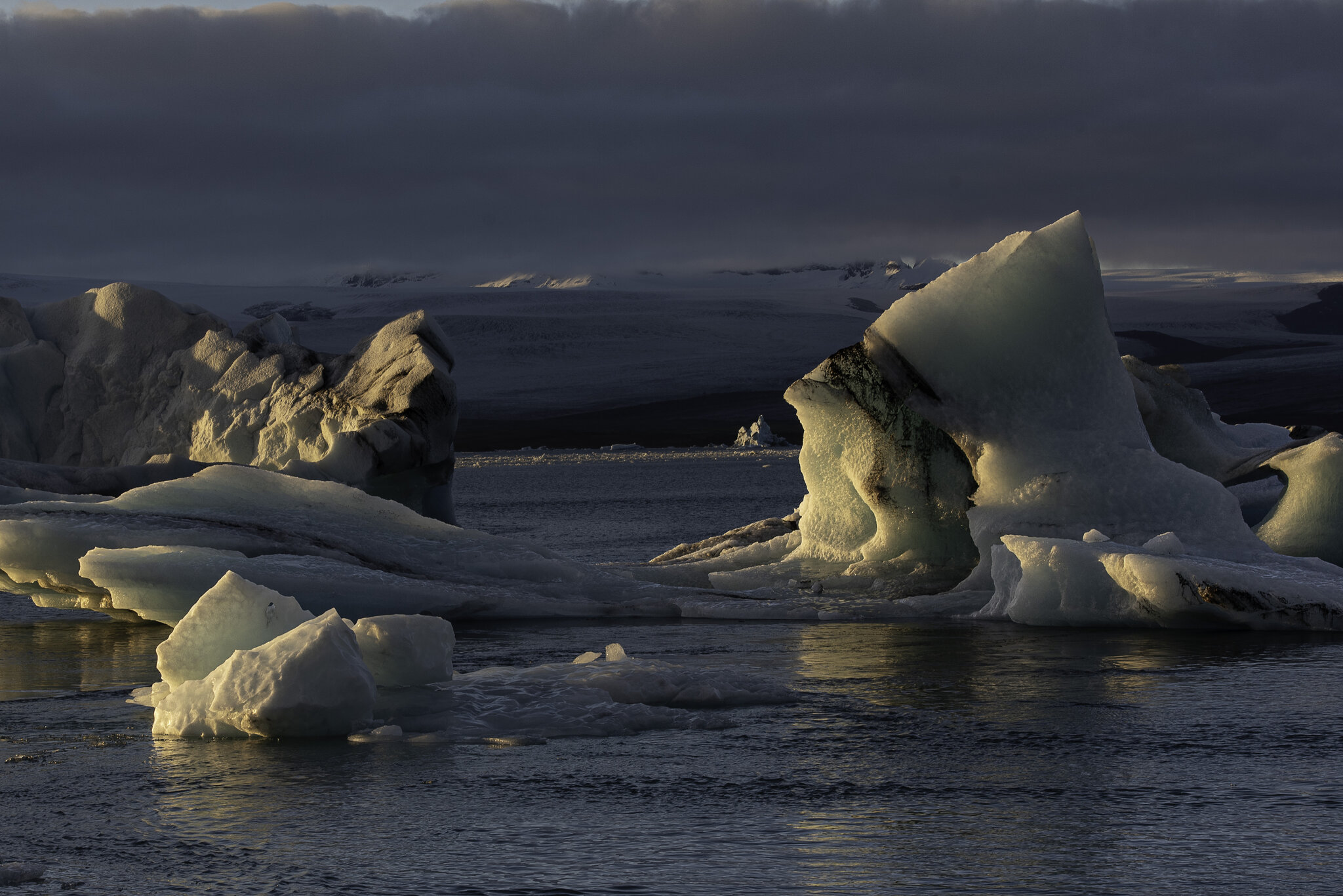 DSC_0333.jpg